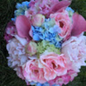 Meet your Posher, Autumnn